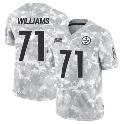 Aiden Williams Pittsburgh Steelers Limited Youth 2024 Salute to Service Jersey (Arctic Camo)