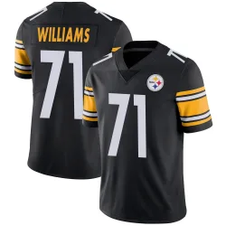 Aiden Williams Pittsburgh Steelers Limited Youth Team Color Vapor Untouchable Jersey (Black)