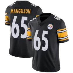 Blake Mangelson Pittsburgh Steelers Limited Youth Team Color Vapor Untouchable Jersey (Black)