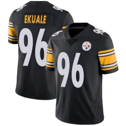 Daniel Ekuale Pittsburgh Steelers Limited Youth Team Color Vapor Untouchable Jersey (Black)