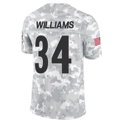 DeAngelo Williams Pittsburgh Steelers Limited Youth 2024 Salute to Service Jersey (Arctic Camo)