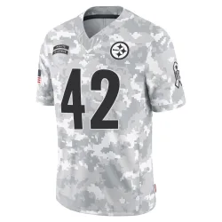 James Pierre Pittsburgh Steelers Limited Youth 2024 Salute to Service Jersey (Arctic Camo)