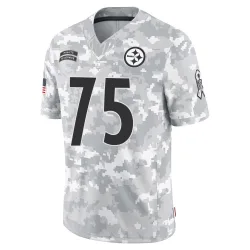 Joe Greene Pittsburgh Steelers Limited Youth 2024 Salute to Service Jersey (Arctic Camo)