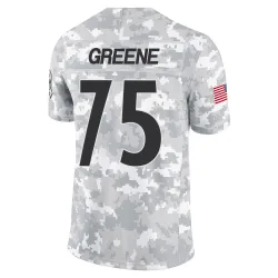 Joe Greene Pittsburgh Steelers Limited Youth 2024 Salute to Service Jersey (Arctic Camo)