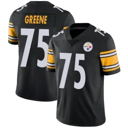 Joe Greene Pittsburgh Steelers Limited Youth Team Color Vapor Untouchable Jersey (Black)