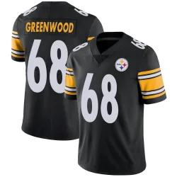 L.C. Greenwood Pittsburgh Steelers Limited Youth Team Color Vapor Untouchable Jersey (Black)