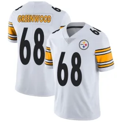 L.C. Greenwood Pittsburgh Steelers Limited Youth Vapor Untouchable Jersey (White)