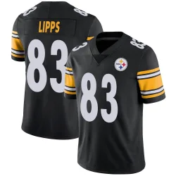 Louis Lipps Pittsburgh Steelers Limited Youth Team Color Vapor Untouchable Jersey (Black)
