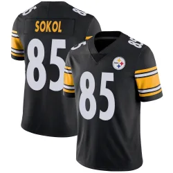 Matt Sokol Pittsburgh Steelers Limited Youth Team Color Vapor Untouchable Jersey (Black)