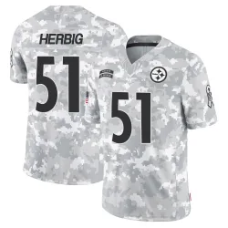 Nick Herbig Pittsburgh Steelers Limited Youth 2024 Salute to Service Jersey (Arctic Camo)