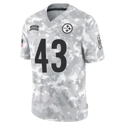 Troy Polamalu Pittsburgh Steelers Limited Men's 2024 Salute to Service Jersey (Arctic Camo)
