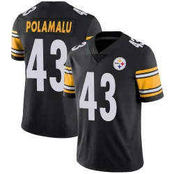 Troy Polamalu Pittsburgh Steelers Limited Youth Team Color Vapor Untouchable Jersey (Black)