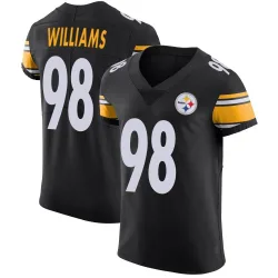 Vince Williams Pittsburgh Steelers Elite Men's Team Color Vapor Untouchable Jersey (Black)